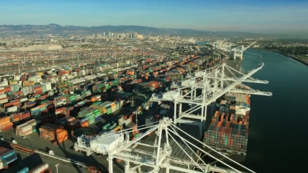 Vue aérienne des porte-conteneurs et des grues de levage, États-Unis — Video