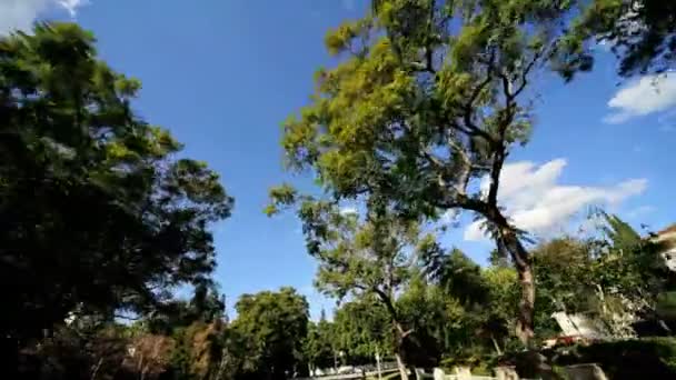 Point de vue Conduite de banlieue — Video