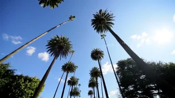 Point de vue Conduite Banlieue — Video