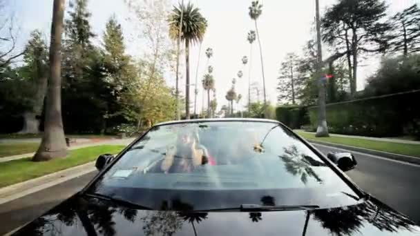 Amigos se divertindo dirigindo Open Top Car — Vídeo de Stock