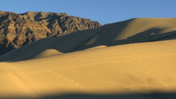 Dorre woestijn landschap milieu — Stockvideo