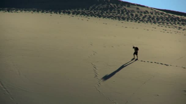 砂漠の砂砂丘の男性ハイカー — ストック動画