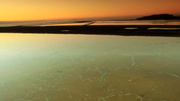 Vista aérea de algas que se formam naturalmente em piscinas de água salgada — Vídeo de Stock
