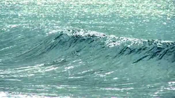 Surf em Ondas Quebrando — Vídeo de Stock