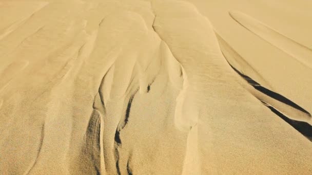 Pohyblivé zrnky písku zblízka — Stock video