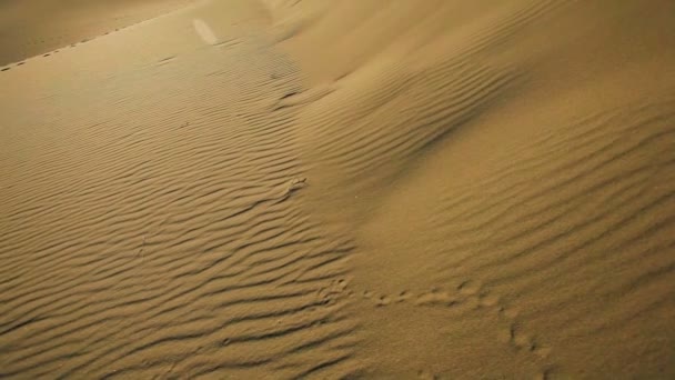 Woestijn landschap zandduinen — Stockvideo