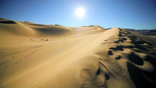 Wüstenlandschaft Sanddünen — Stockvideo