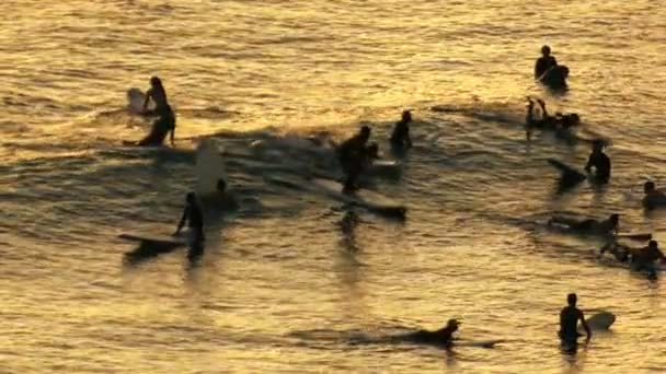 Silhueta de surfistas oceânicos — Vídeo de Stock