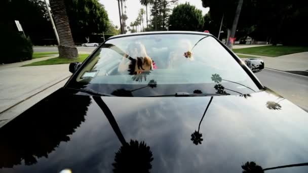 Bonitas novias disfrutando conduciendo un convertible — Vídeo de stock