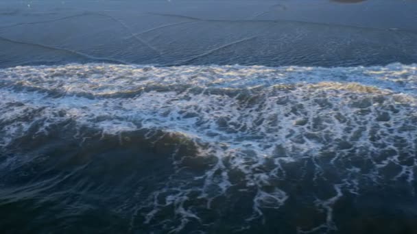 Vue aérienne de la puissance des vagues sur le rivage, États-Unis — Video