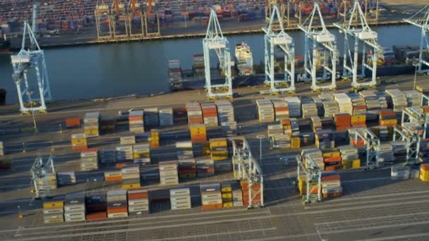 Vista aérea do porto comercial industrial do recipiente, EUA — Vídeo de Stock