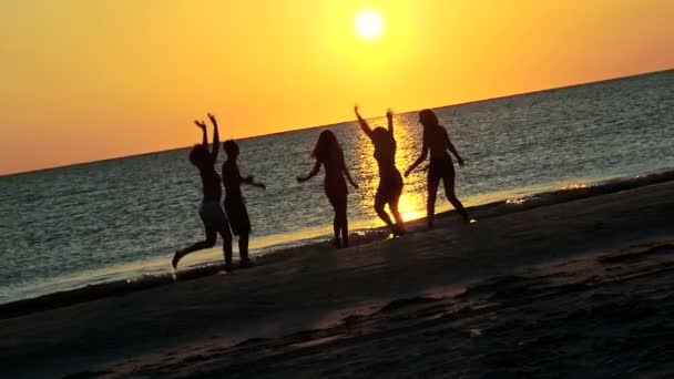Teenagers having fun on beach — Stock Video
