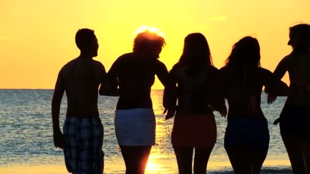 Vrienden op strand lopen naar de Oceaan — Stockvideo