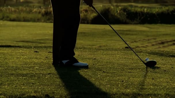 Gracz w golfa na polu golfowym — Wideo stockowe