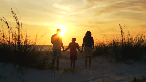 Pais e filho assistindo por do sol — Vídeo de Stock