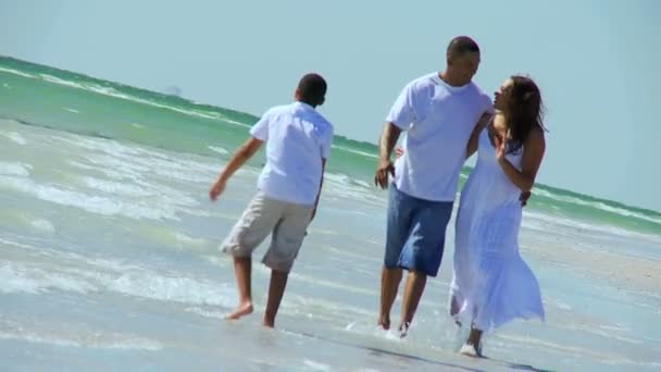 Family playing in ocean shallows — Stock Video