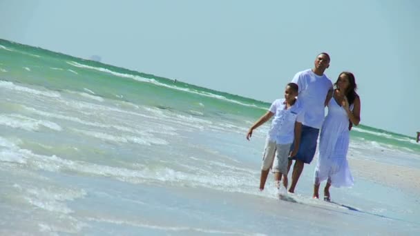 家庭溅起海洋浅滩 — 图库视频影像