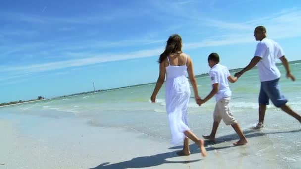 Parents et fils au bord de l'océan — Video