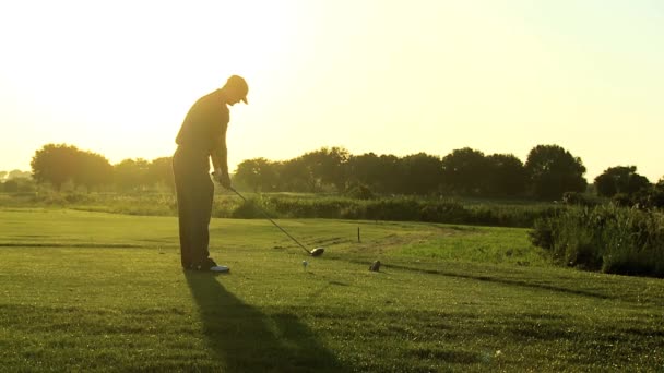 Golfista no Campo de Golfe — Vídeo de Stock