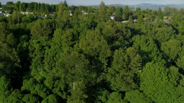 Aerial view of residential homes and suburbs, Seattle — Stock Video