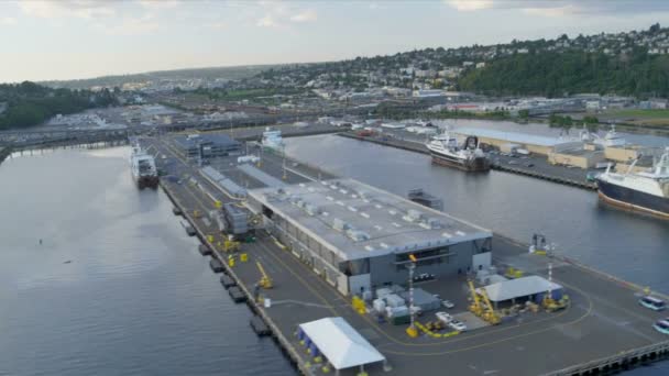 Vista aérea Smith Cove Piers 90 y 91, Seattle, EE.UU. — Vídeo de stock