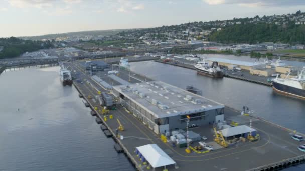 Havadan görünümü smith cove piers 90 ve 91, seattle, ABD — Stok video