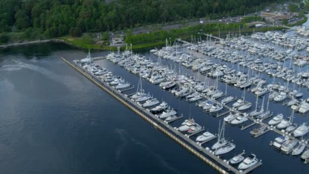 Aerial view Yacht Marina Smith Cove, Seattle — Stock Video