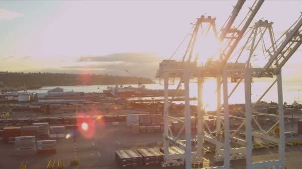 Εναέρια ήλιος φωτοβολίδα άποψη κοντέινερ ναυτιλιακές λιμάνι, Σιάτλ — Αρχείο Βίντεο