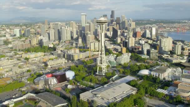 Vista aérea Space Needle observation tower, Seattle, EUA — Vídeo de Stock