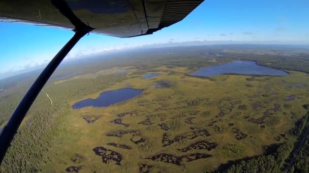 Luchtfoto van de toendra moerasgebied alaskan wildernis lichte vliegtuigen alaska, Verenigde Staten — Stockvideo