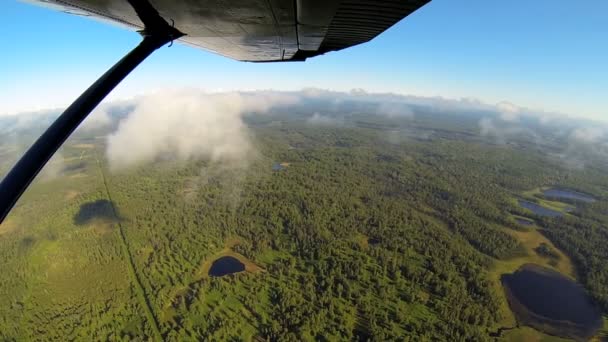 Letecký pohled od lehkých letadel zalesňování pouště tundry Aljaška, usa — Stock video