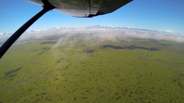 鸟瞰图从轻型飞机沼泽和沼泽荒原苔原阿拉斯加，美国 — 图库视频影像