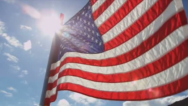 Amerikai nemzeti zászlaja — Stock videók