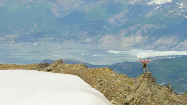 在高的山峰麻烦冰川的登山者 — 图库视频影像
