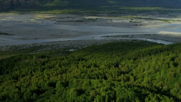 Долина дикой природы — стоковое видео