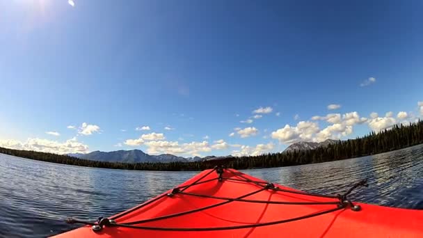 在湖的荒野地区皮划艇 — 图库视频影像