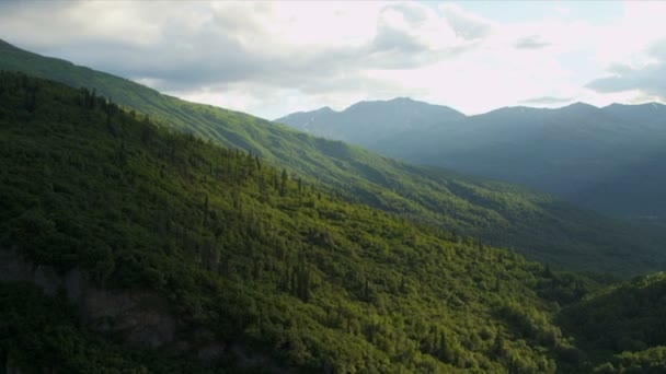 Valles de montaña y bosque de coníferas — Vídeos de Stock