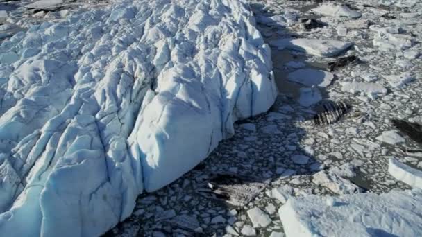 Glacial icebergs floating near main — Stock Video