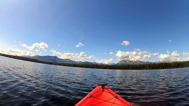 Kayak sur la zone sauvage du lac — Video