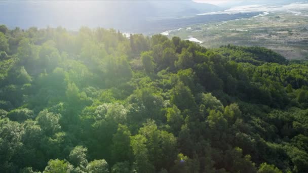 Горные долины и хвойные леса — стоковое видео