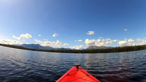 Kayak en la zona salvaje del lago — Vídeo de stock