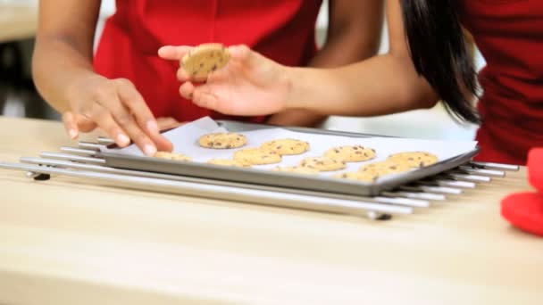 Females tasting freshly baked biscuits — Stock Video