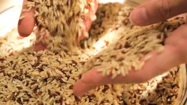 Hands running through dry grains — Stock Video