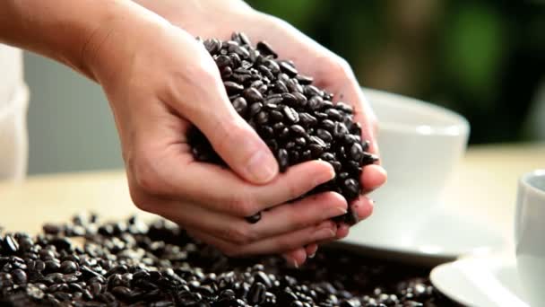Fresh Coffee Beans Pouring Onto White Table Female Hands — Stock Video