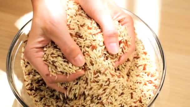 Manos a través de granos secos — Vídeo de stock