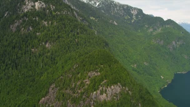 Вид с воздуха на лес в горах — стоковое видео