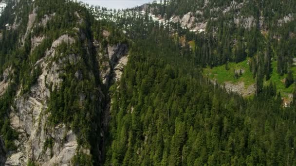 Flygfoto över skogen i bergen — Stockvideo