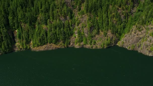 Vue aérienne du lac dans la forêt — Video