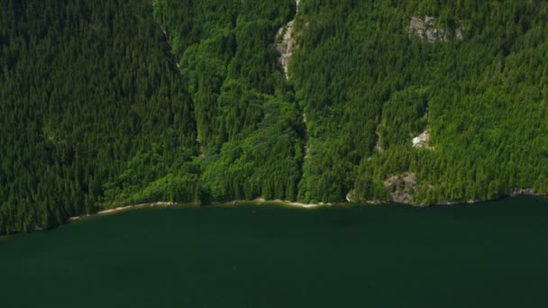 Luchtfoto uitzicht op de rivier in het forest — Stockvideo