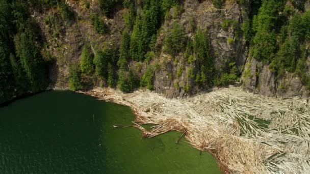 Vista aérea del río en el bosque — Vídeo de stock